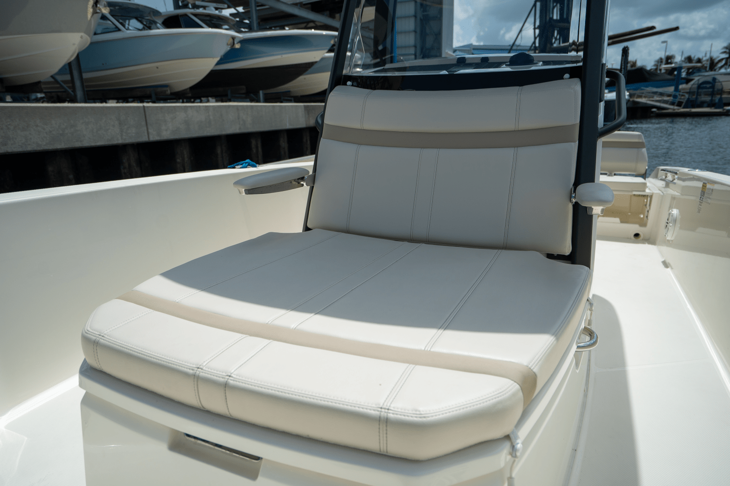 2025 Boston Whaler 250 Dauntless Image Thumbnail #12