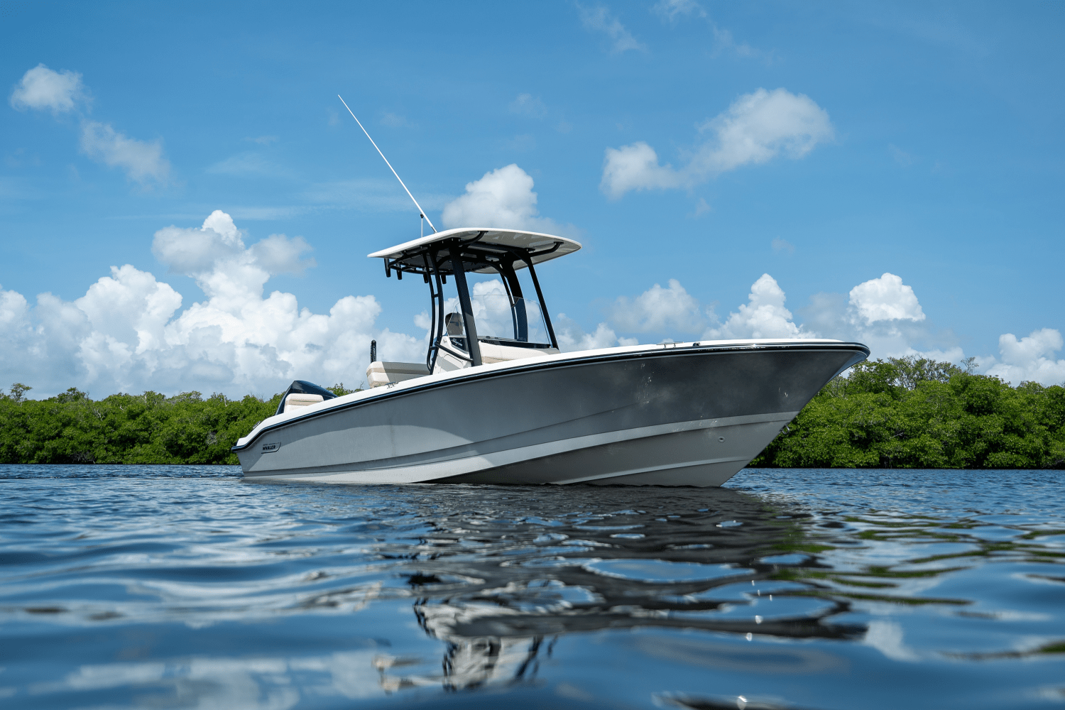 2025 Boston Whaler 250 Dauntless Image Thumbnail #18