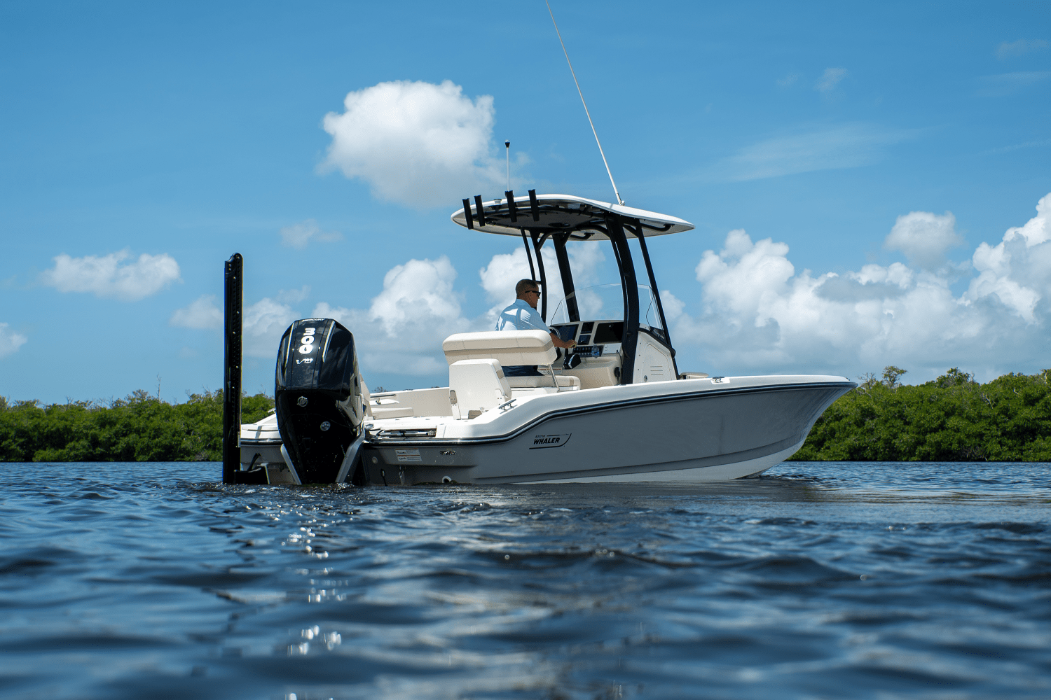 2025 Boston Whaler 250 Dauntless Image Thumbnail #31