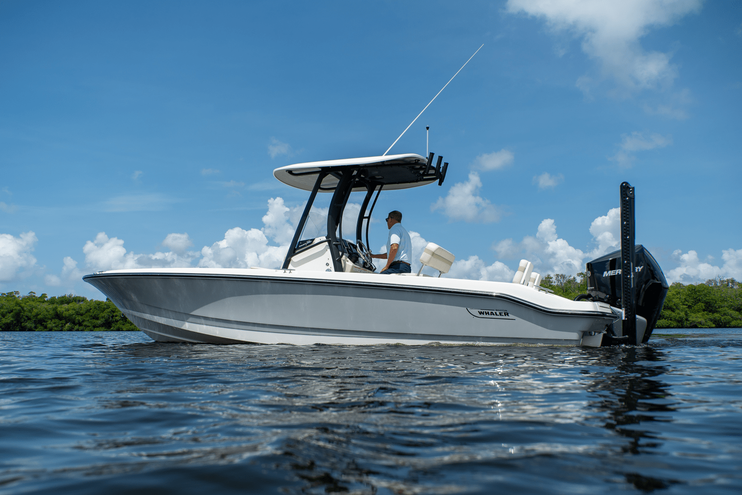 2025 Boston Whaler 250 Dauntless Image Thumbnail #27