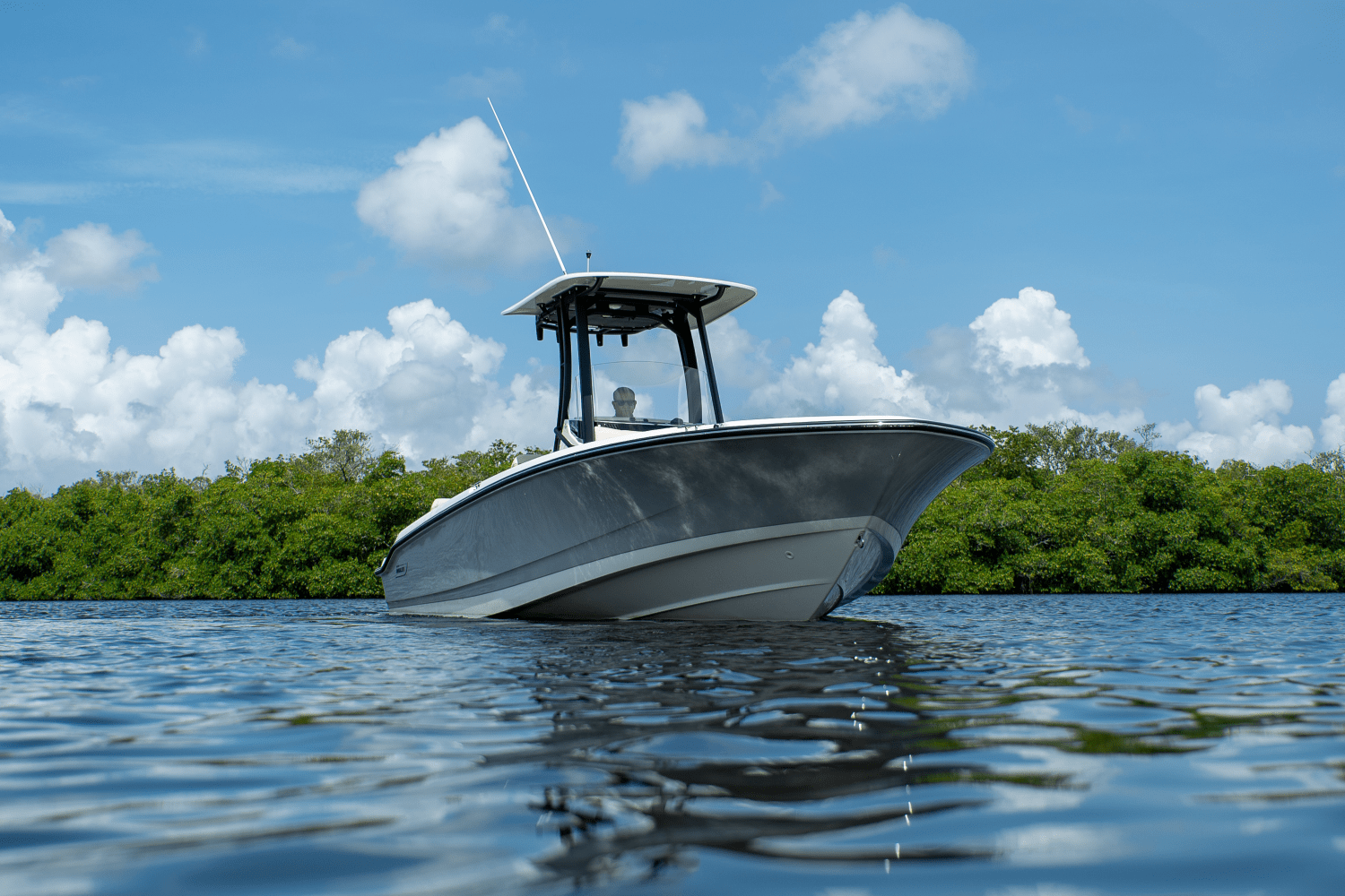 2025 Boston Whaler 250 Dauntless Image Thumbnail #19