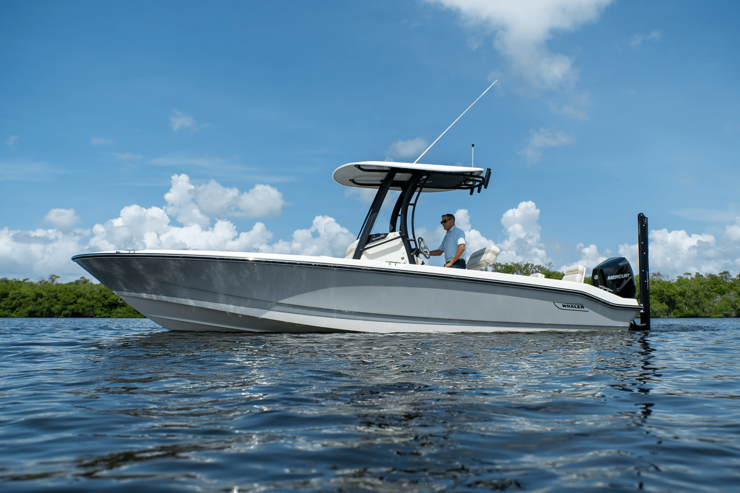2025 Boston Whaler 250 Dauntless Image Thumbnail #26