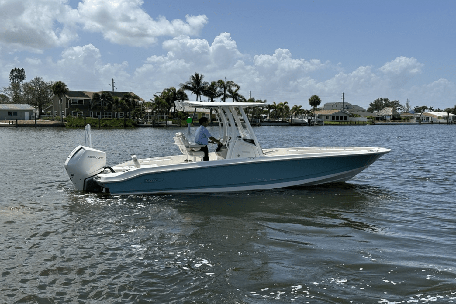 2025 Boston Whaler 250 Dauntless Image Thumbnail #7