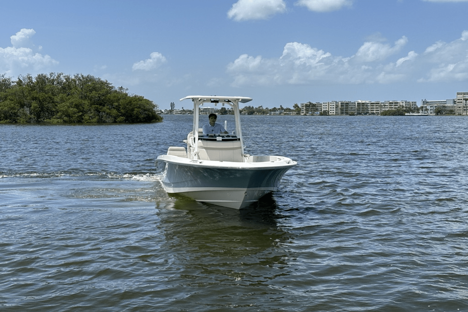 2025 Boston Whaler 250 Dauntless Image Thumbnail #10