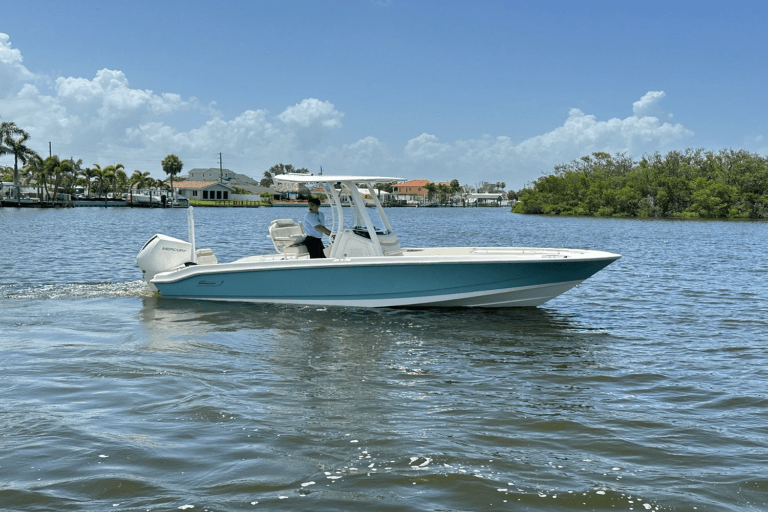 2025 Boston Whaler 250 Dauntless Image Thumbnail #8