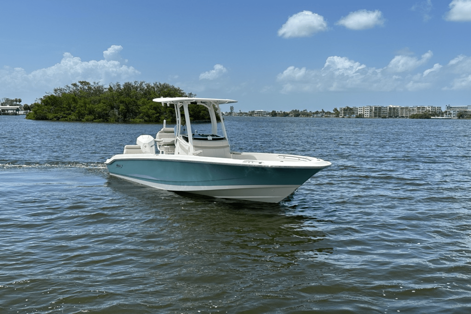 2025 Boston Whaler 250 Dauntless Image Thumbnail #9