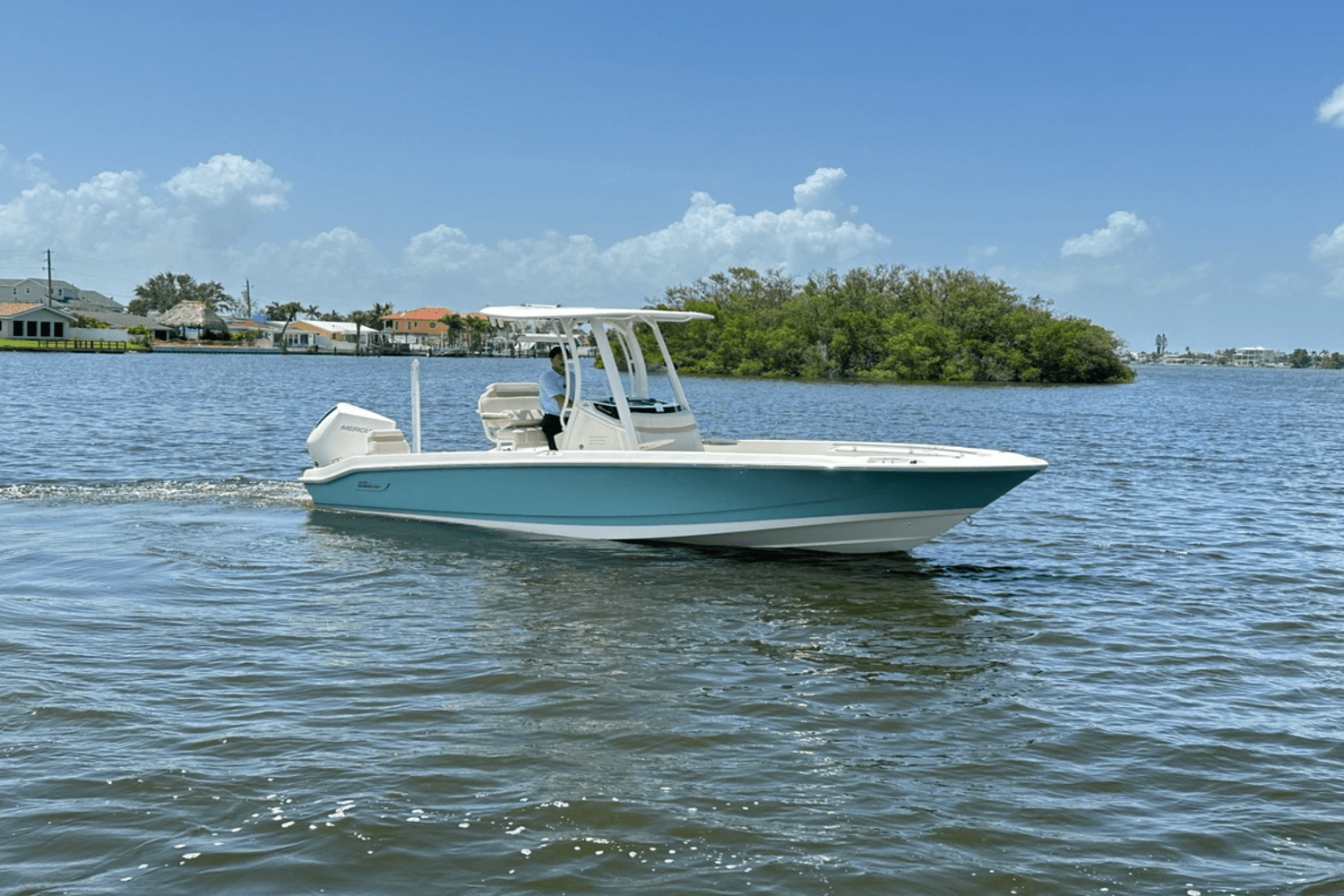 2025 Boston Whaler 250 Dauntless Image Thumbnail #0