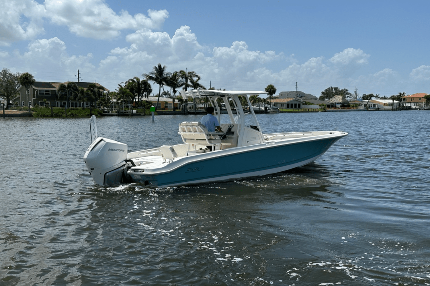 2025 Boston Whaler 250 Dauntless Image Thumbnail #6