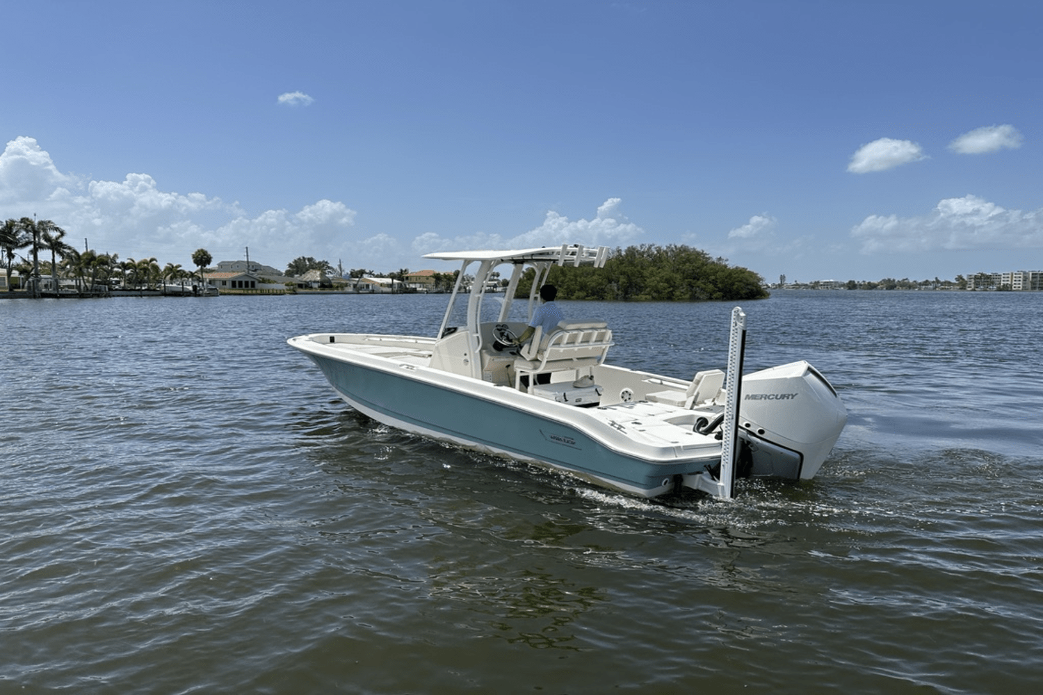 2025 Boston Whaler 250 Dauntless Image Thumbnail #2