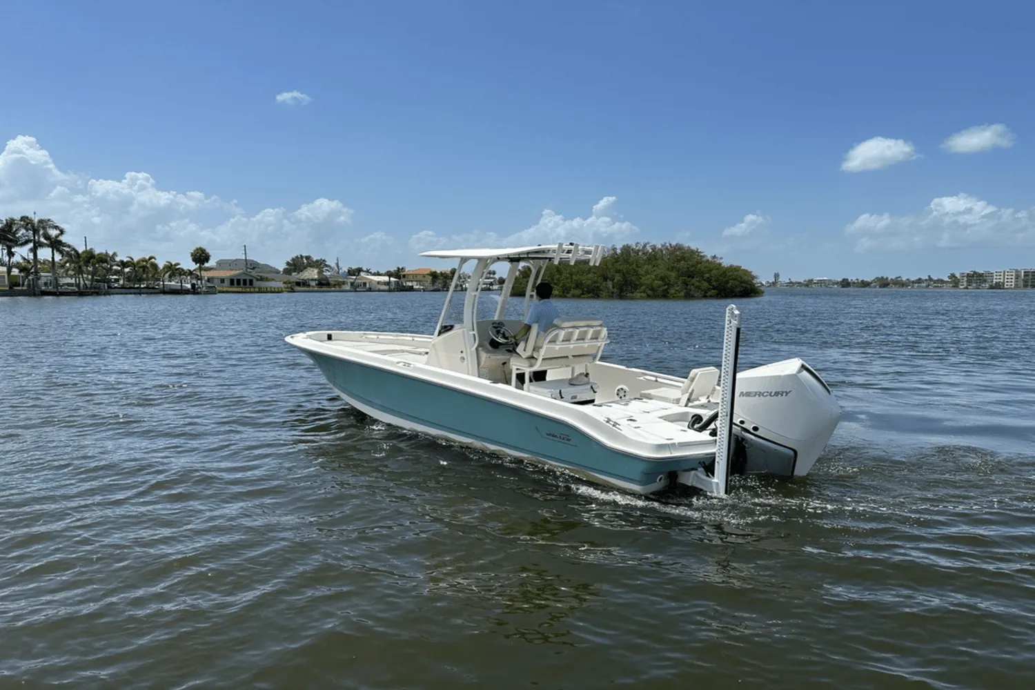 2025 Boston Whaler 250 Dauntless Image Thumbnail #2