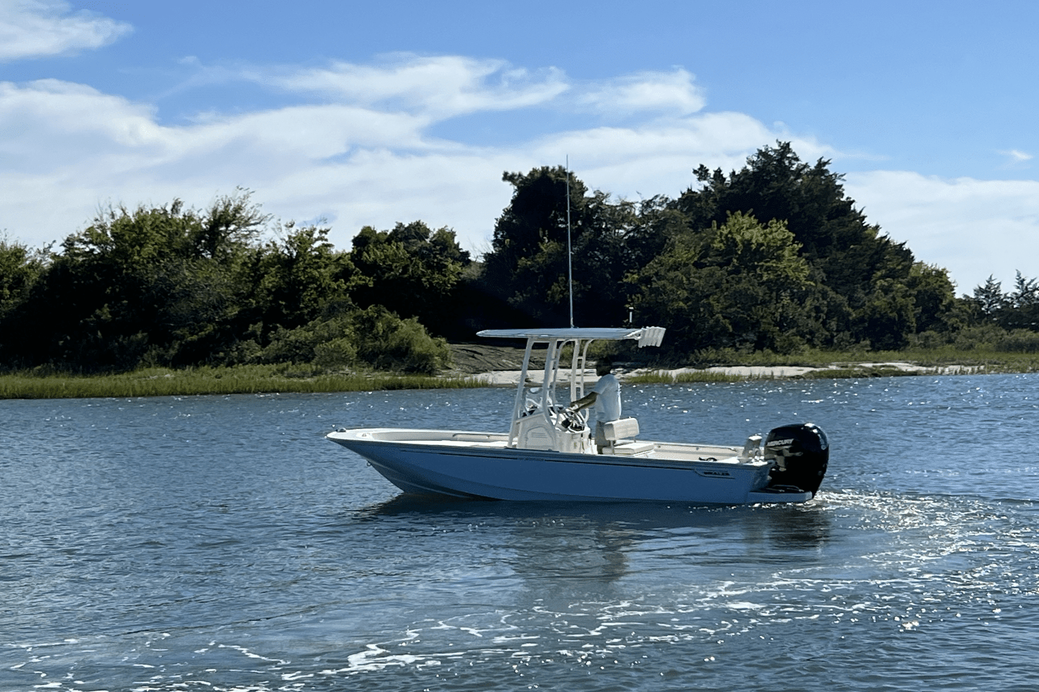 2025 Boston Whaler 190 Montauk  Image Thumbnail #4