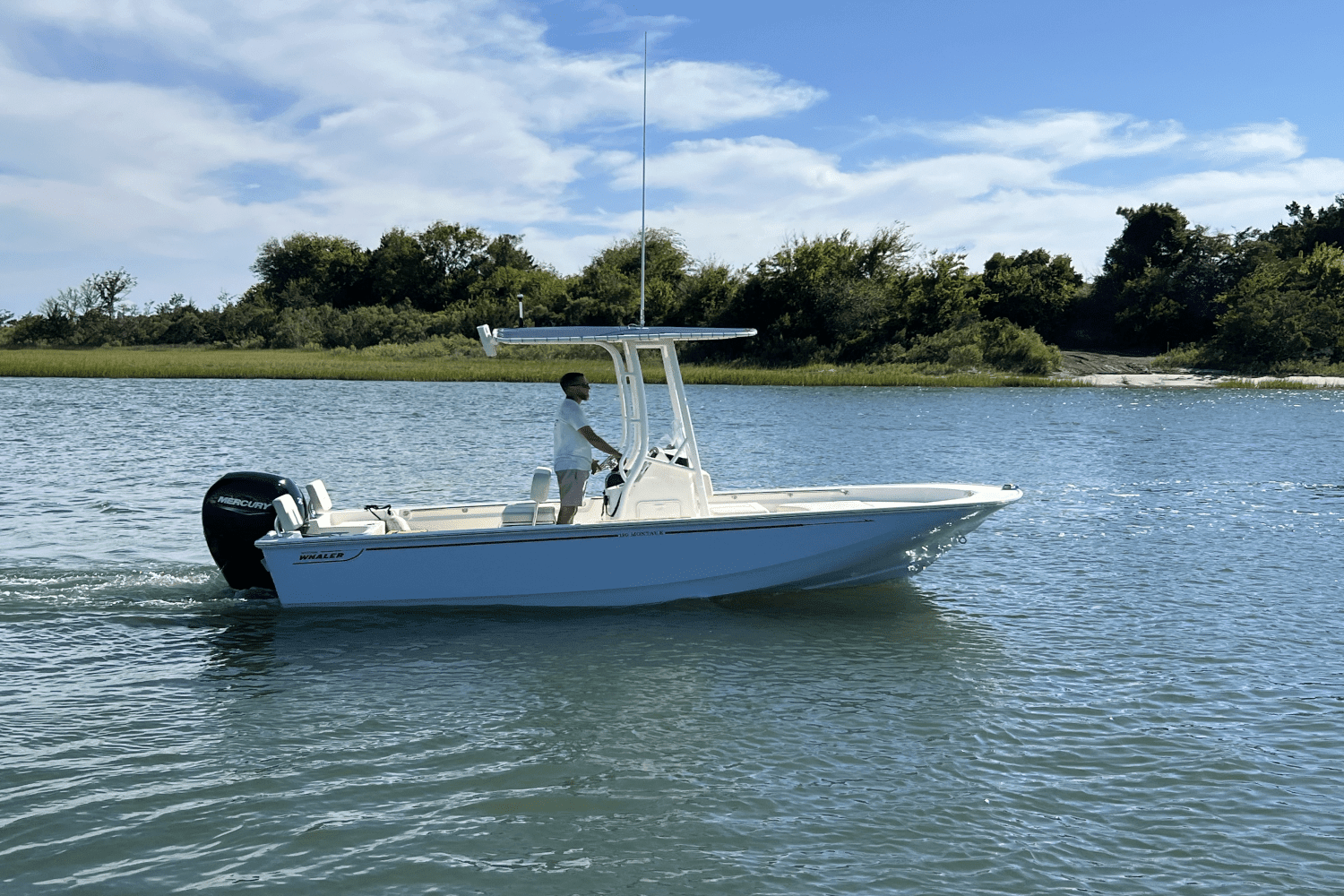 Thumbnail 3 for 2025 Boston Whaler 190 Montauk 