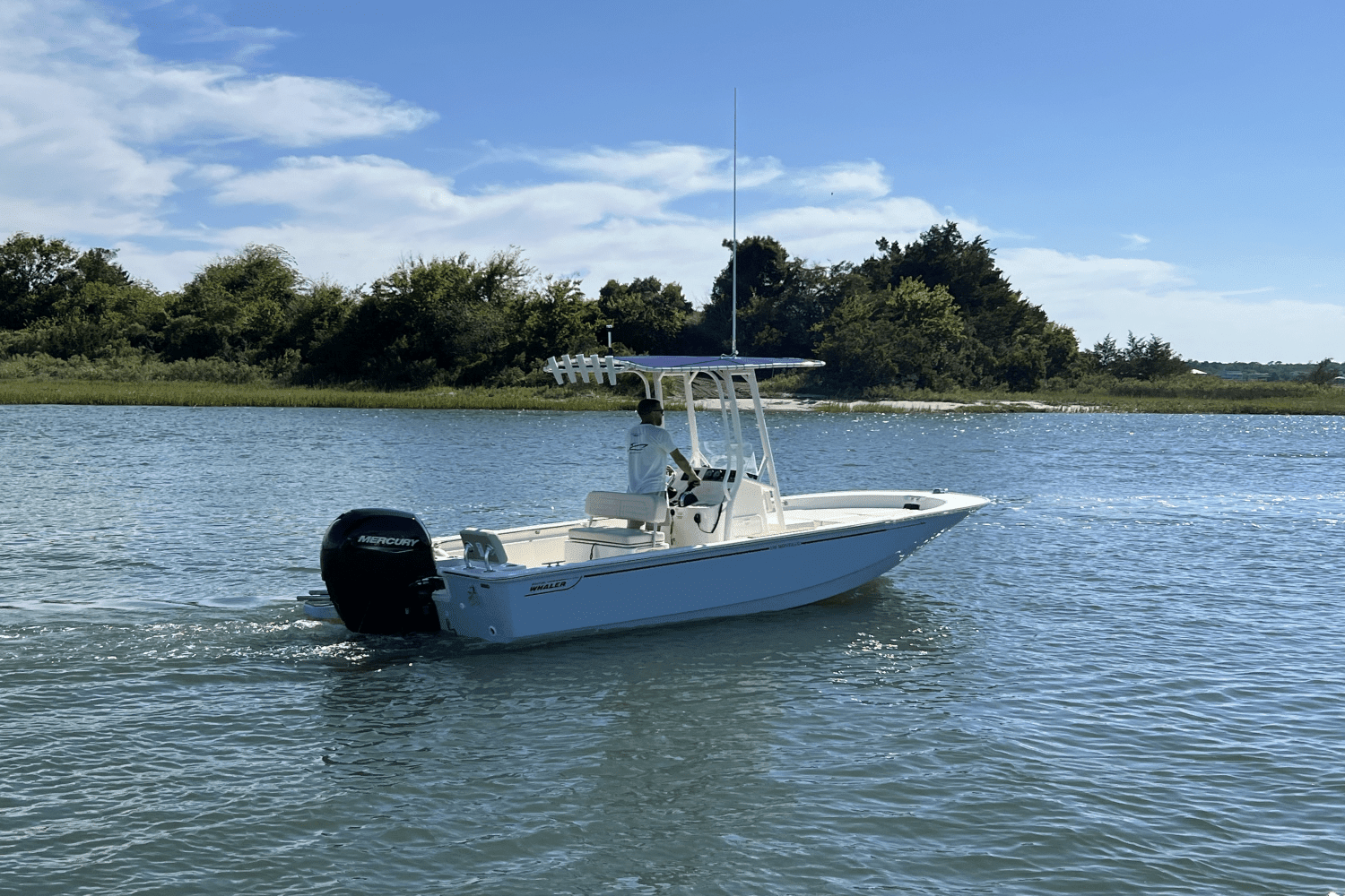 2025 Boston Whaler 190 Montauk  Image Thumbnail #3