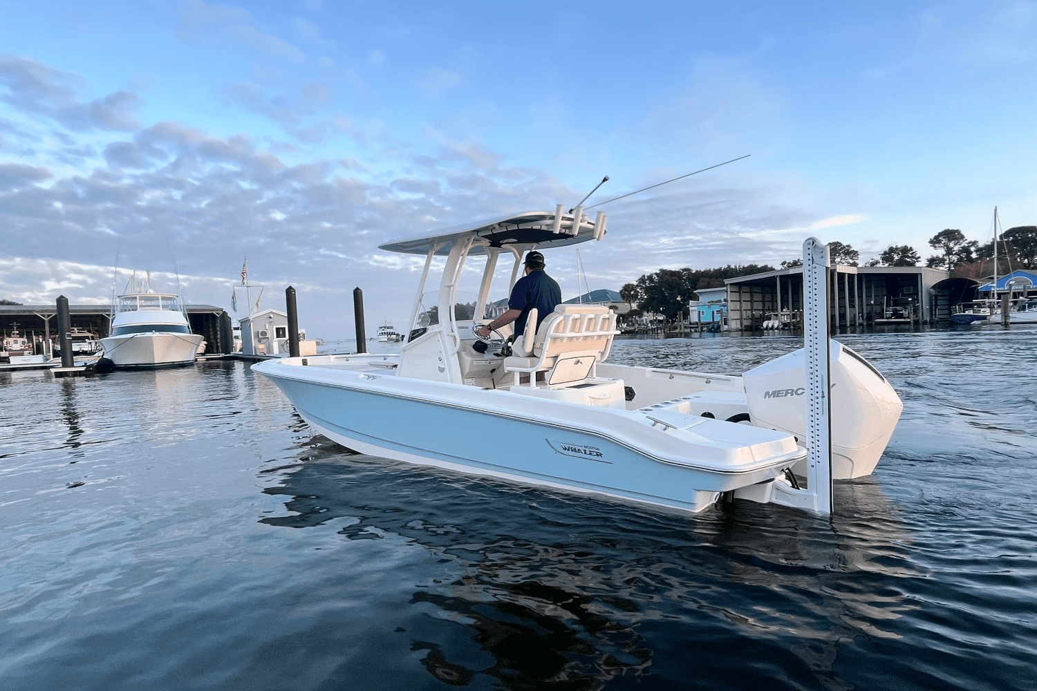 2025 Boston Whaler 220 Dauntless Image Thumbnail #6