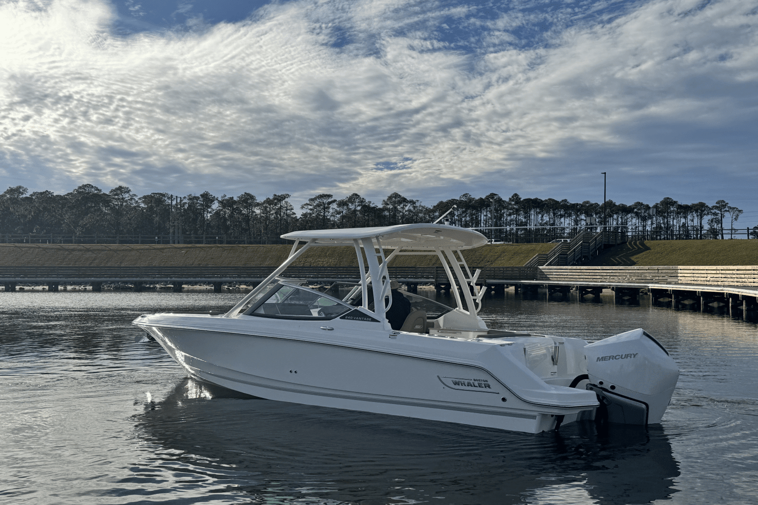 2025 Boston Whaler 240 Vantage Image Thumbnail #13