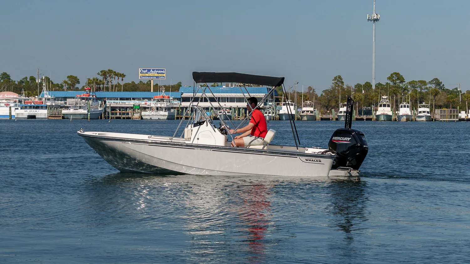 2025 Boston Whaler 170 Montauk Image Thumbnail #0