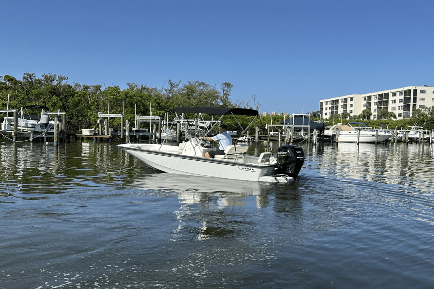 2025 Boston Whaler 170 Montauk Image Thumbnail #7