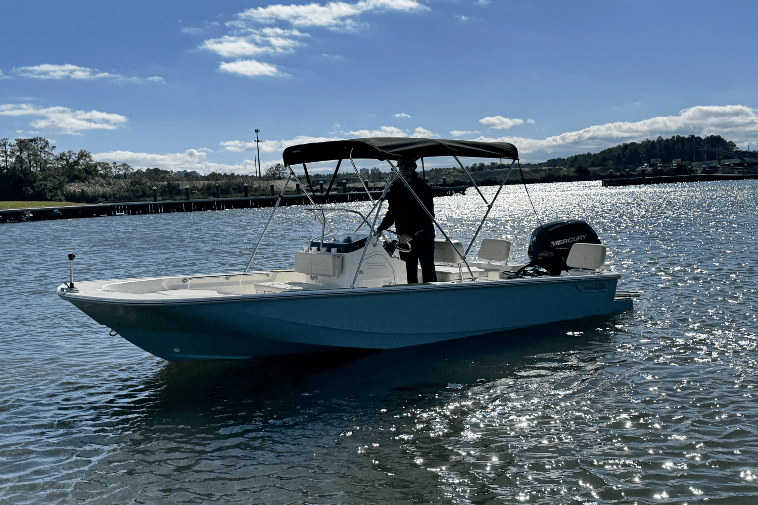 2025 Boston Whaler 170 Montauk Image Thumbnail #6