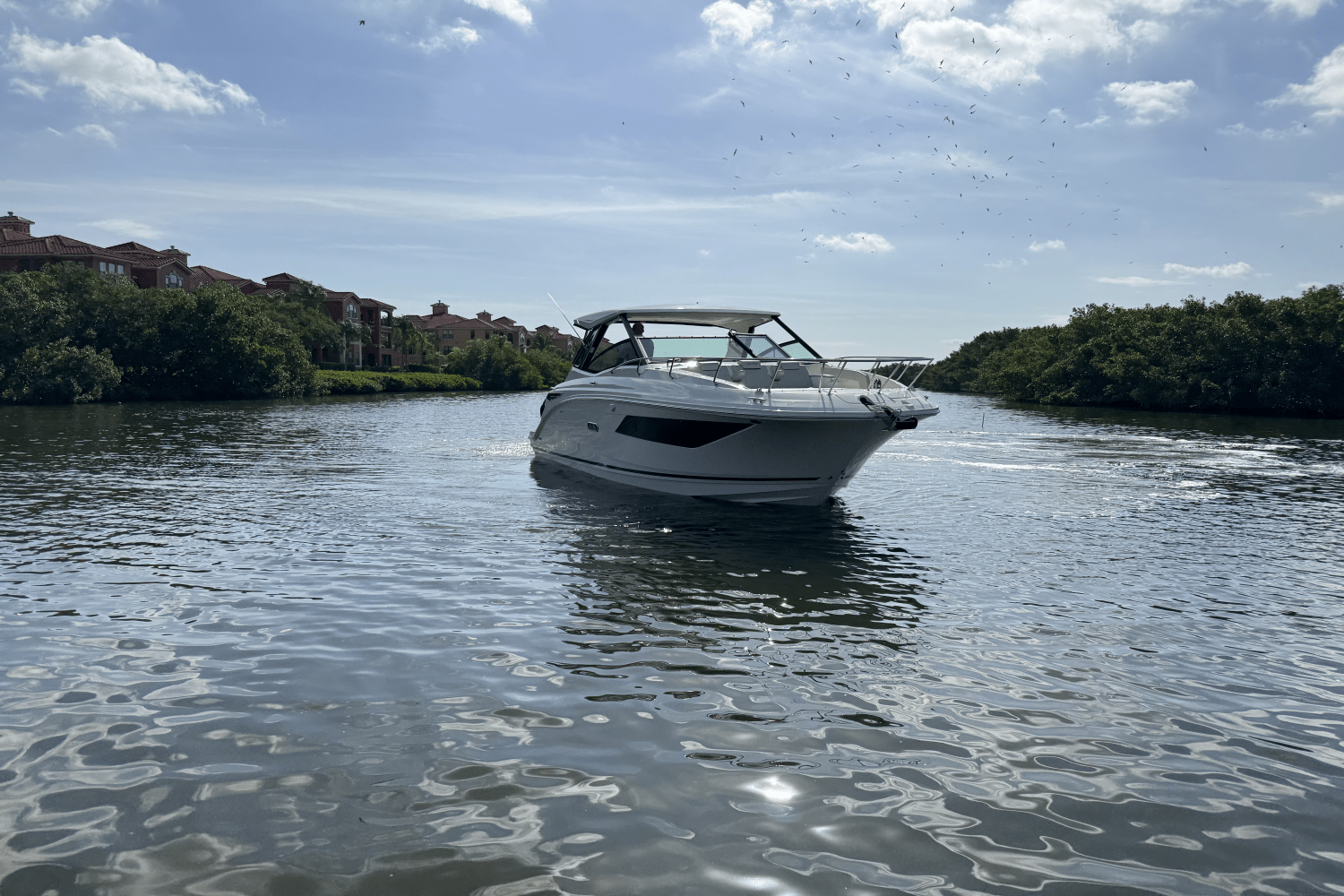 2025 Sea Ray Sundancer 320 Outboard Image Thumbnail #5