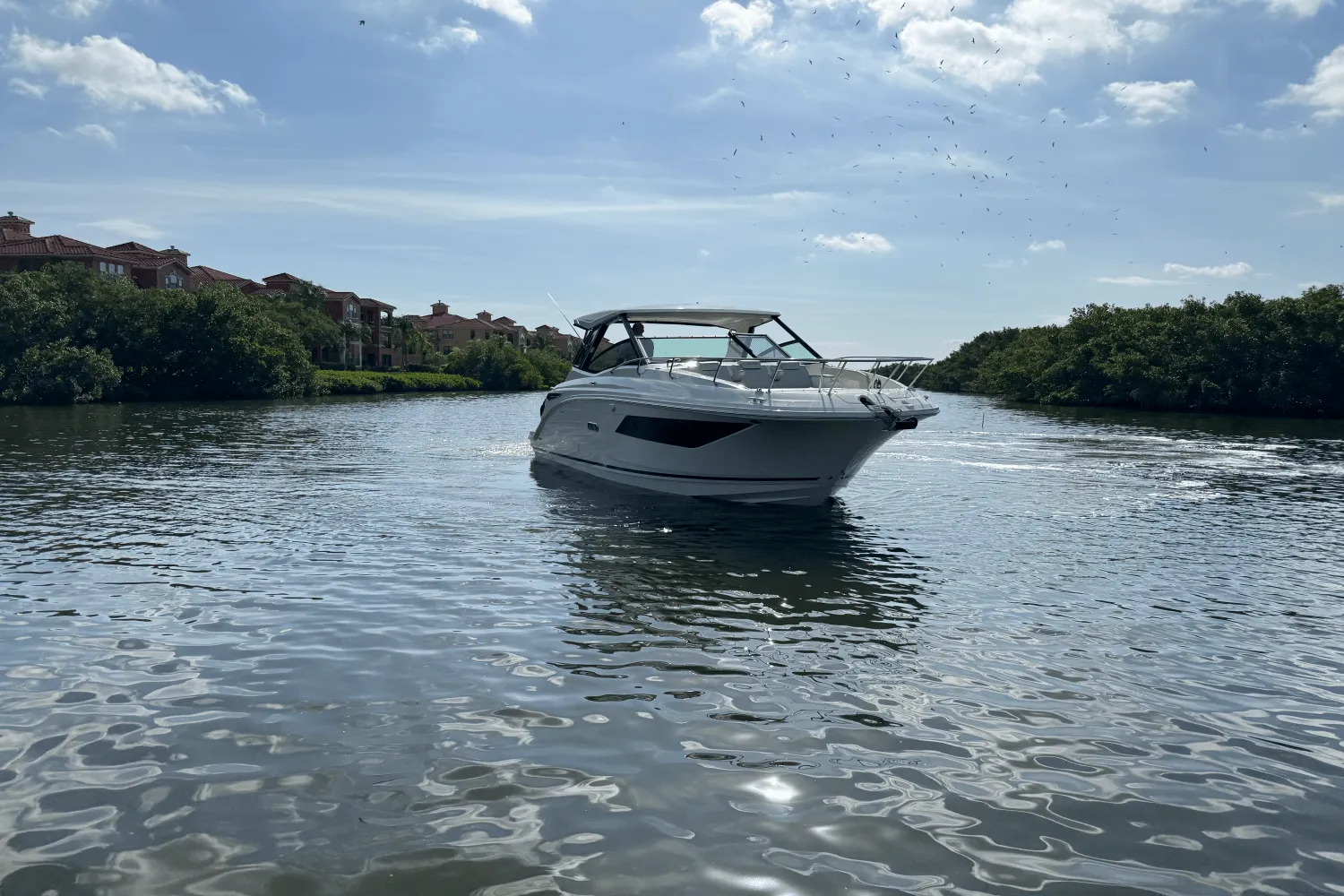 2025 Sea Ray Sundancer 320 Outboard Image Thumbnail #4