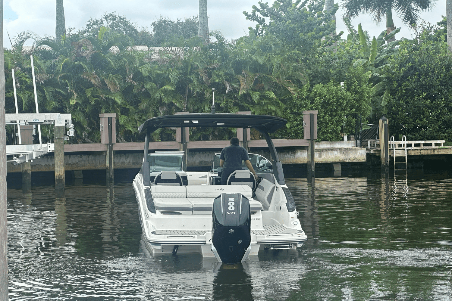 2025 Sea Ray SLX 260 Outboard Image Thumbnail #9