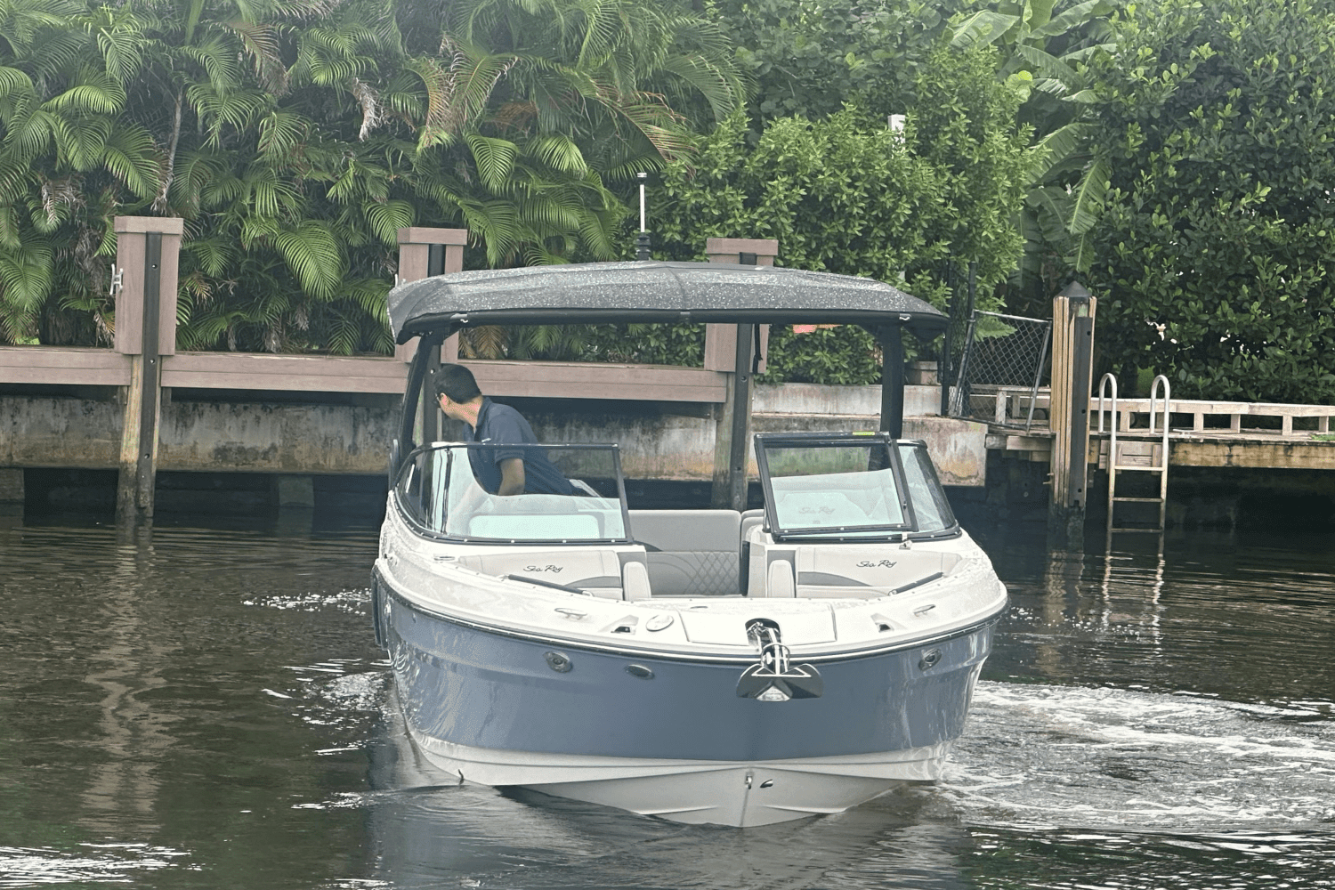 2025 Sea Ray SLX 260 Outboard Image Thumbnail #4