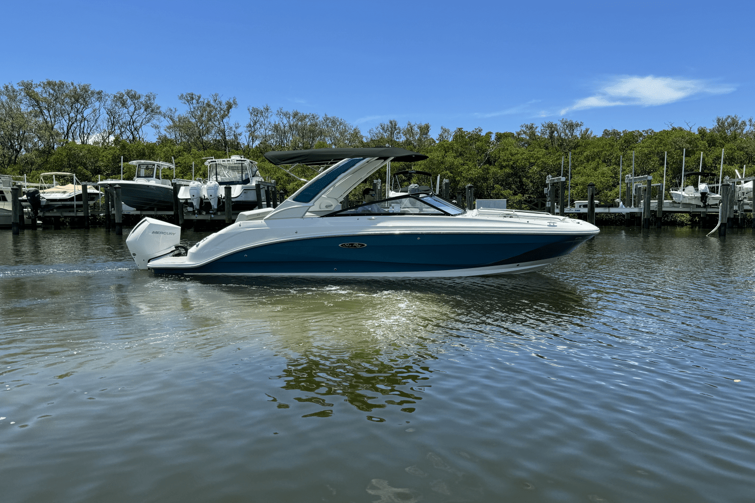 2025 Sea Ray SDX 250 Outboard Image Thumbnail #2