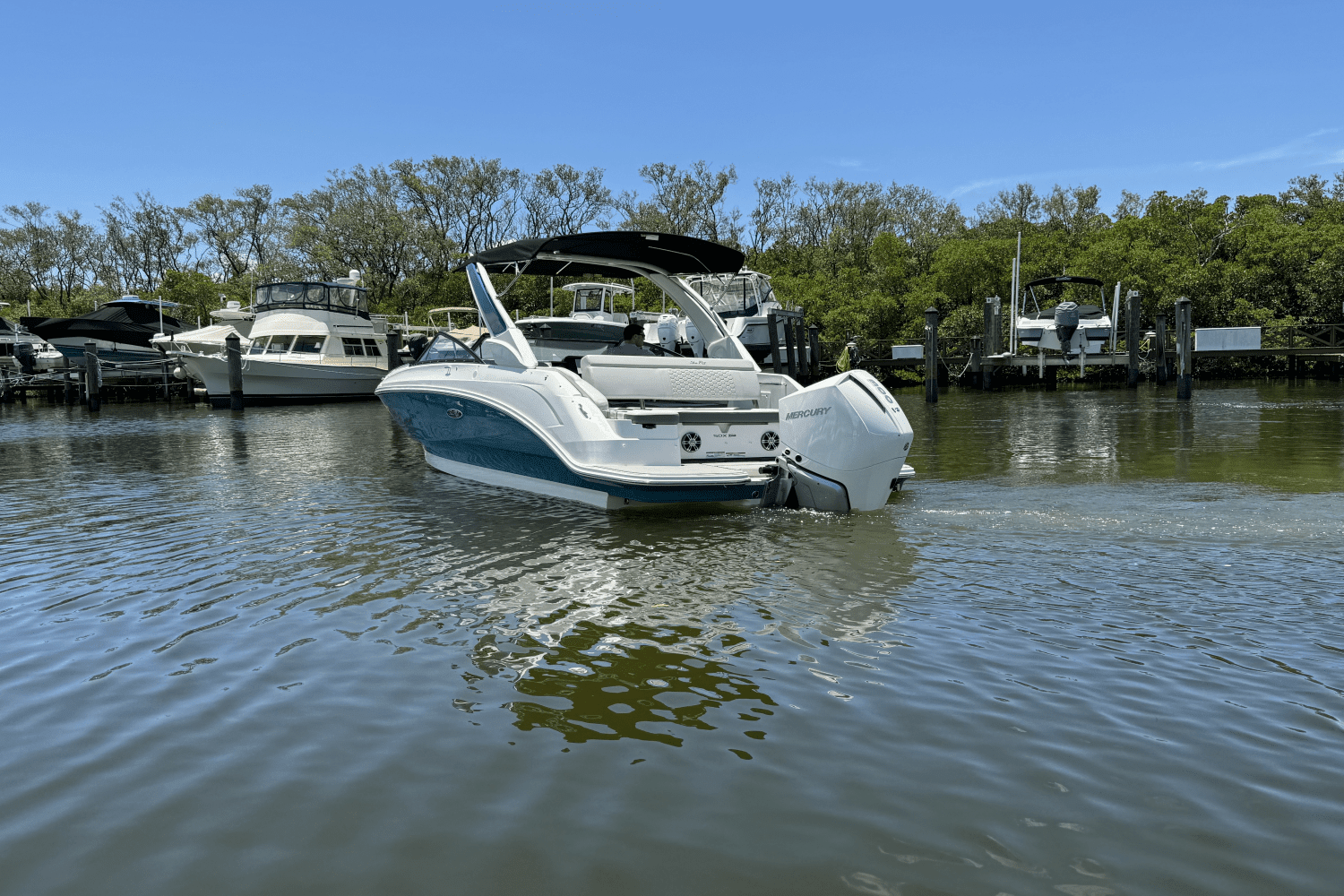 2025 Sea Ray SDX 250 Outboard Image Thumbnail #7