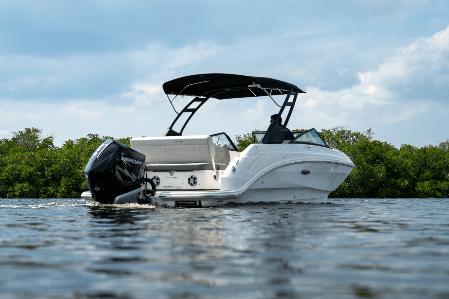 2025 Sea Ray SDX 250 Outboard Image Thumbnail #3