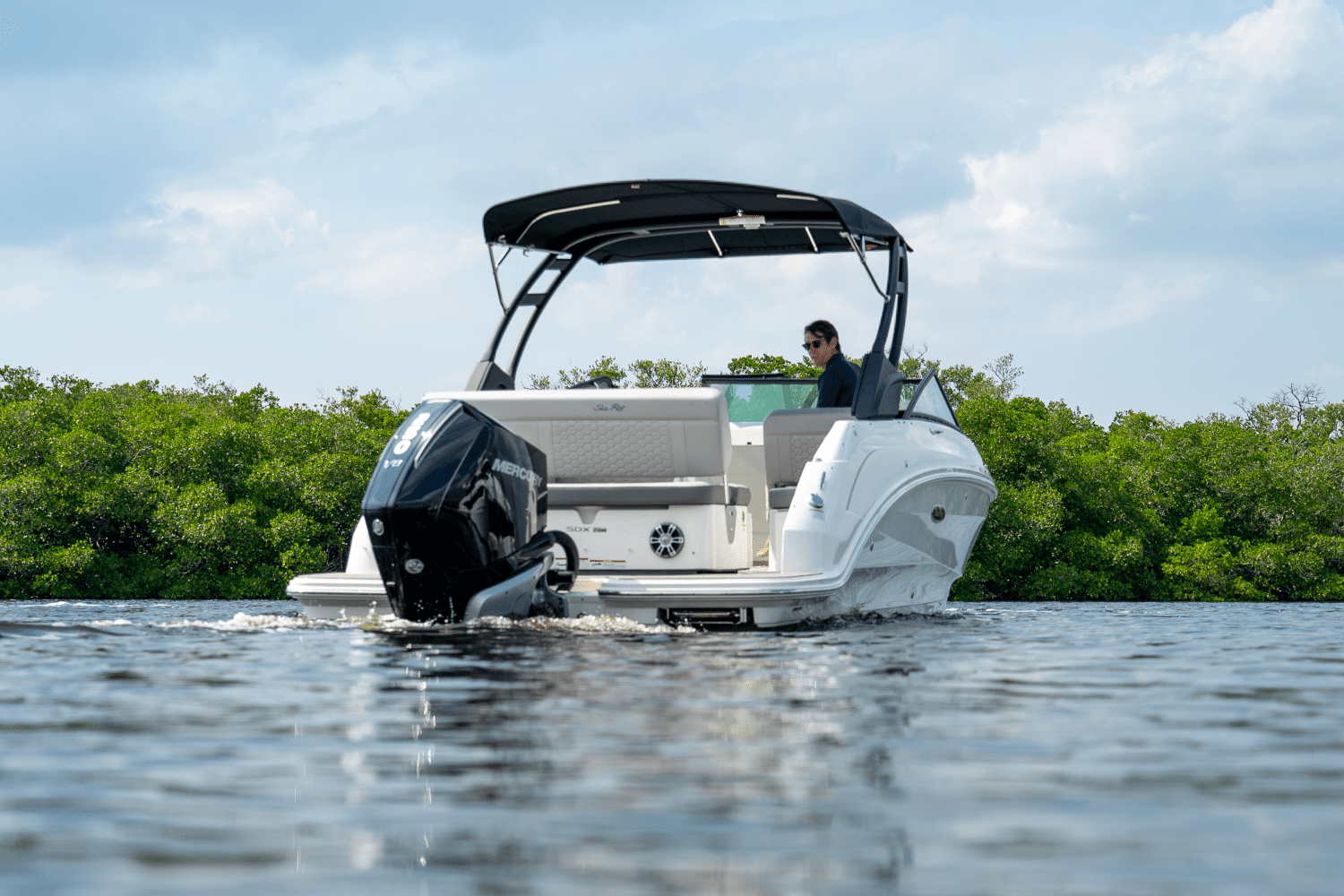 2025 Sea Ray SDX 250 Outboard Image Thumbnail #33