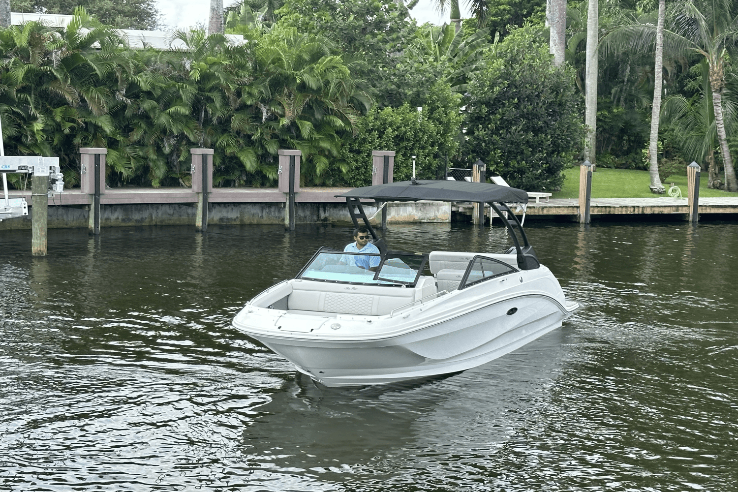 2025 Sea Ray SDX 250 Outboard Image Thumbnail #4