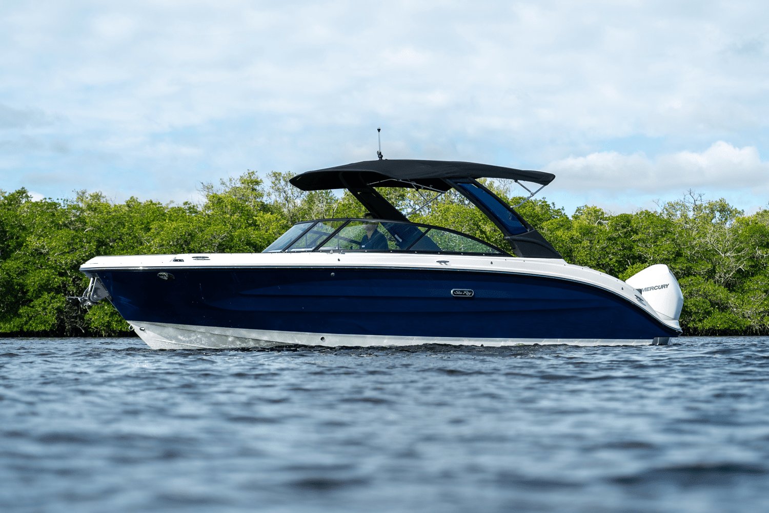 2025 Sea Ray SDX 270 Outboard Image Thumbnail #22