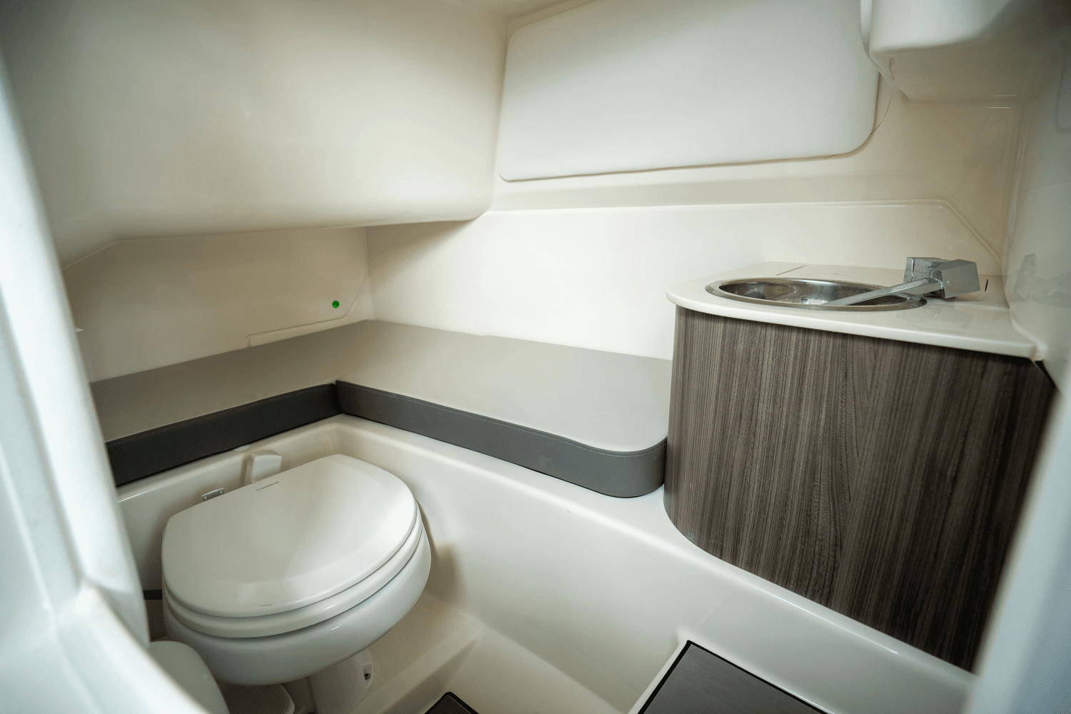 2025 Sea Ray SDX 270 Outboard Image Thumbnail #13