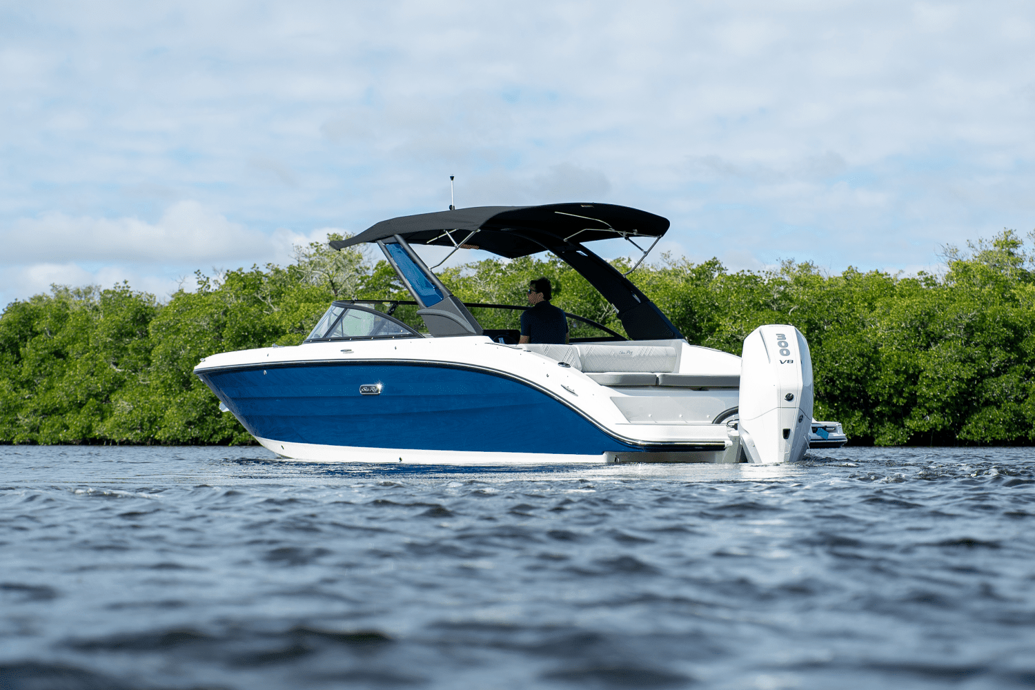 2025 Sea Ray SDX 270 Outboard Image Thumbnail #1