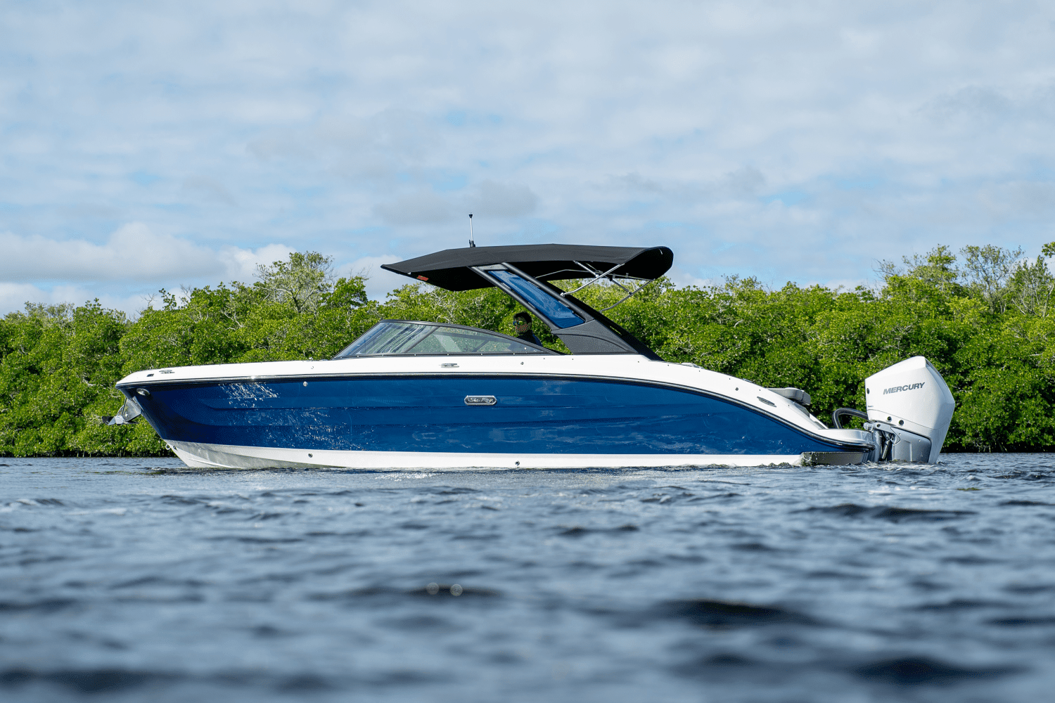 2025 Sea Ray SDX 270 Outboard Image Thumbnail #21