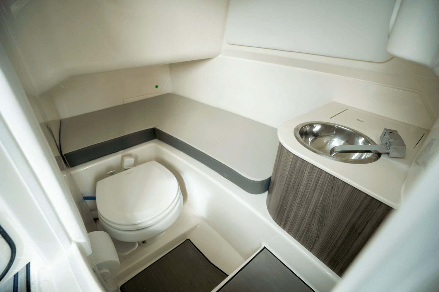 2025 Sea Ray SDX 270 Outboard Image Thumbnail #14