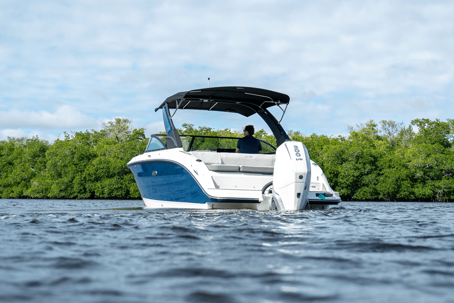 2025 Sea Ray SDX 270 Outboard Image Thumbnail #26