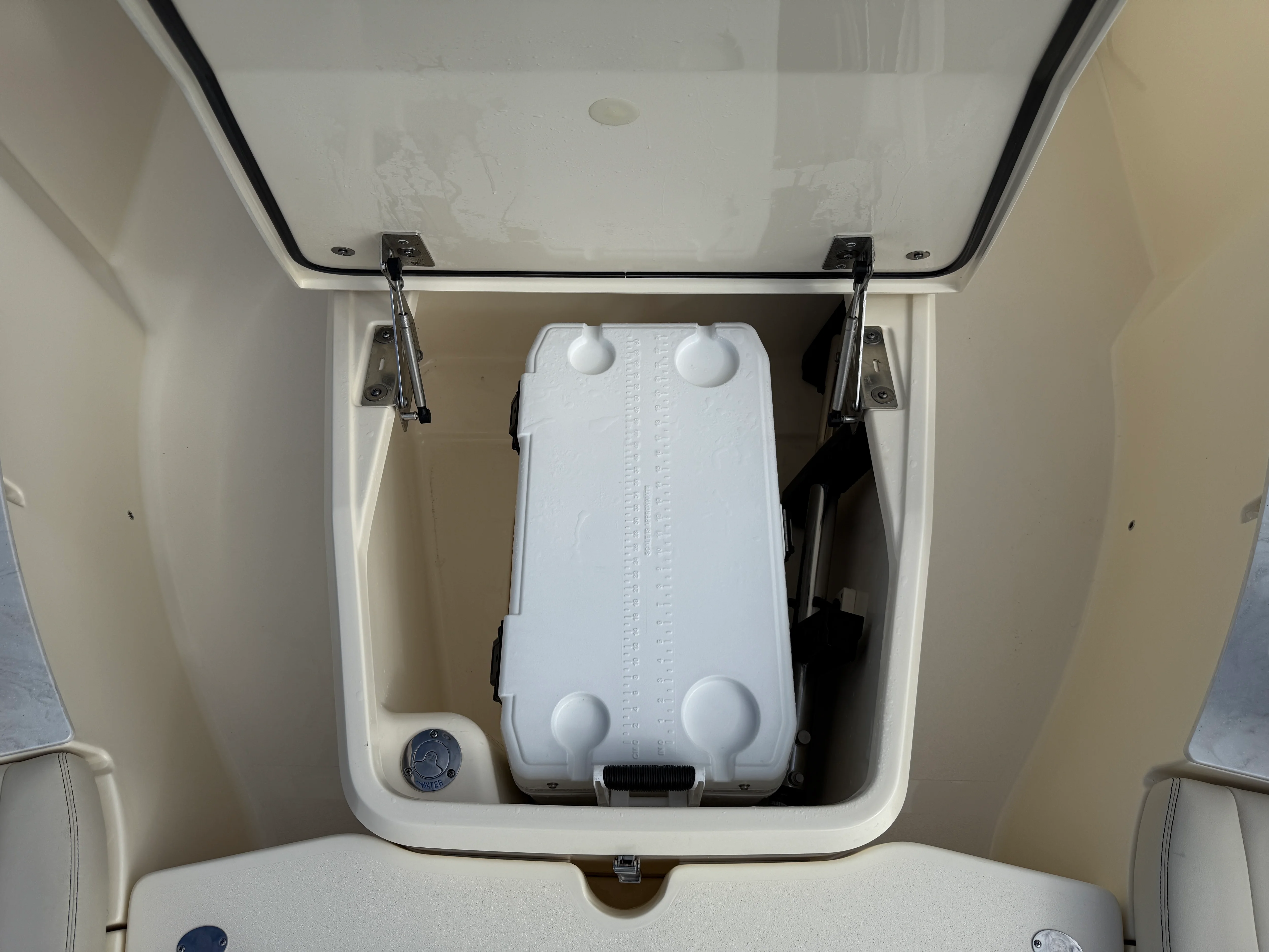 2025 Scout 261 XSS Image Thumbnail #13