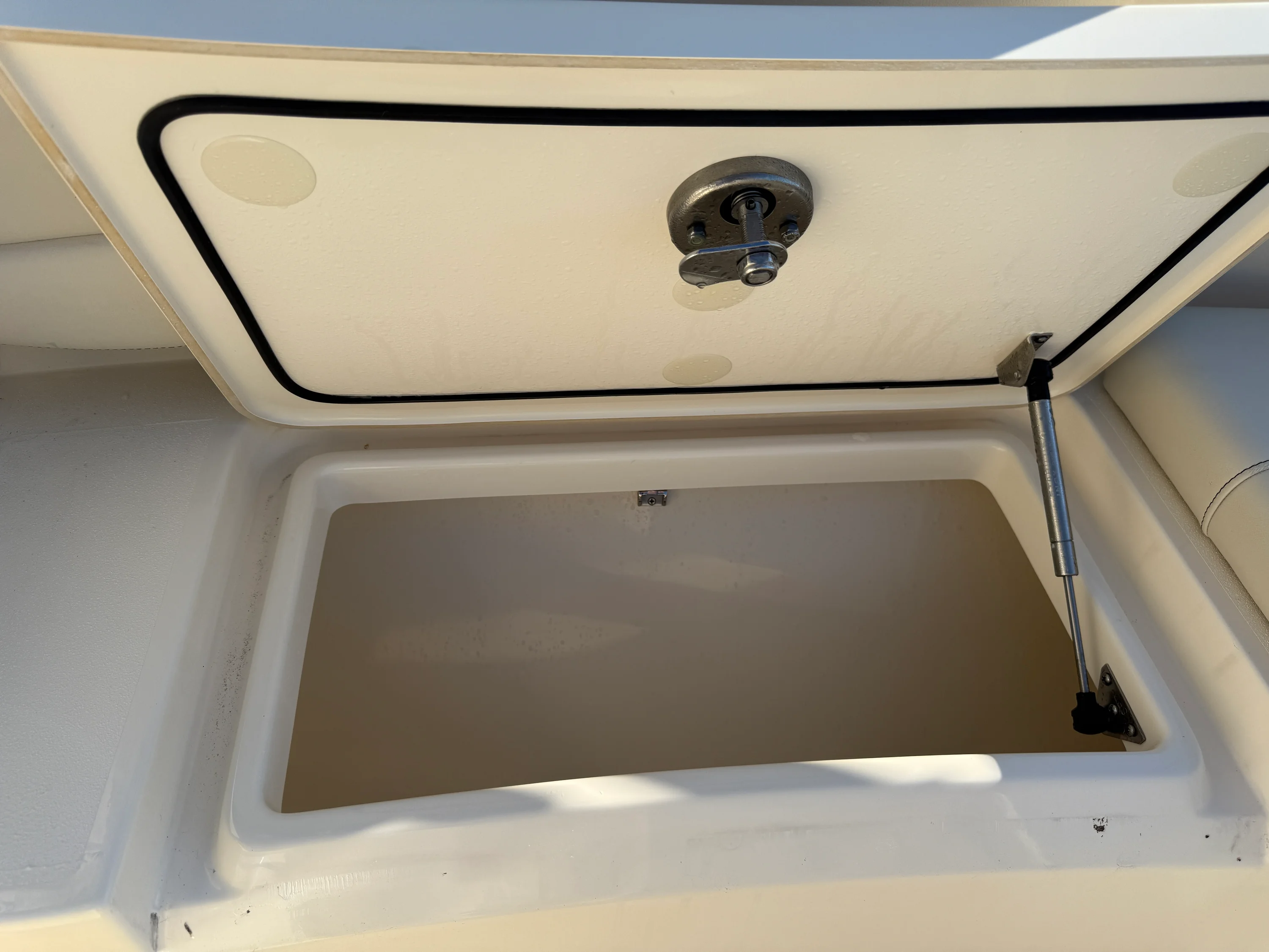 2025 Scout 261 XSS Image Thumbnail #19