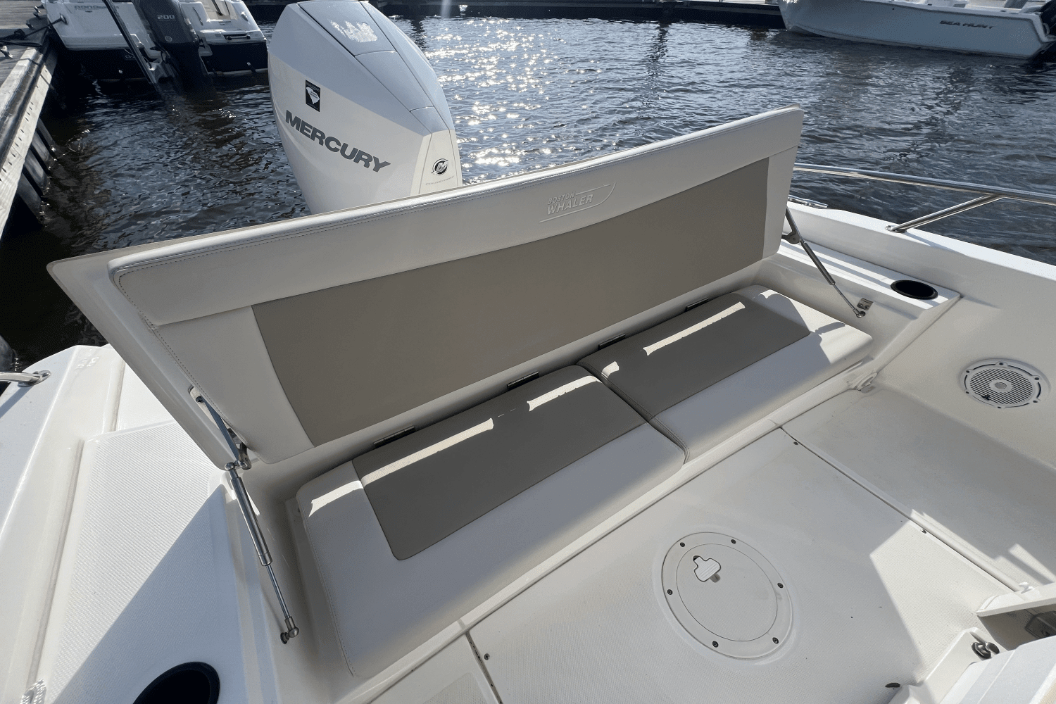 2020 Boston Whaler 240 DAUNTLESS Image Thumbnail #5