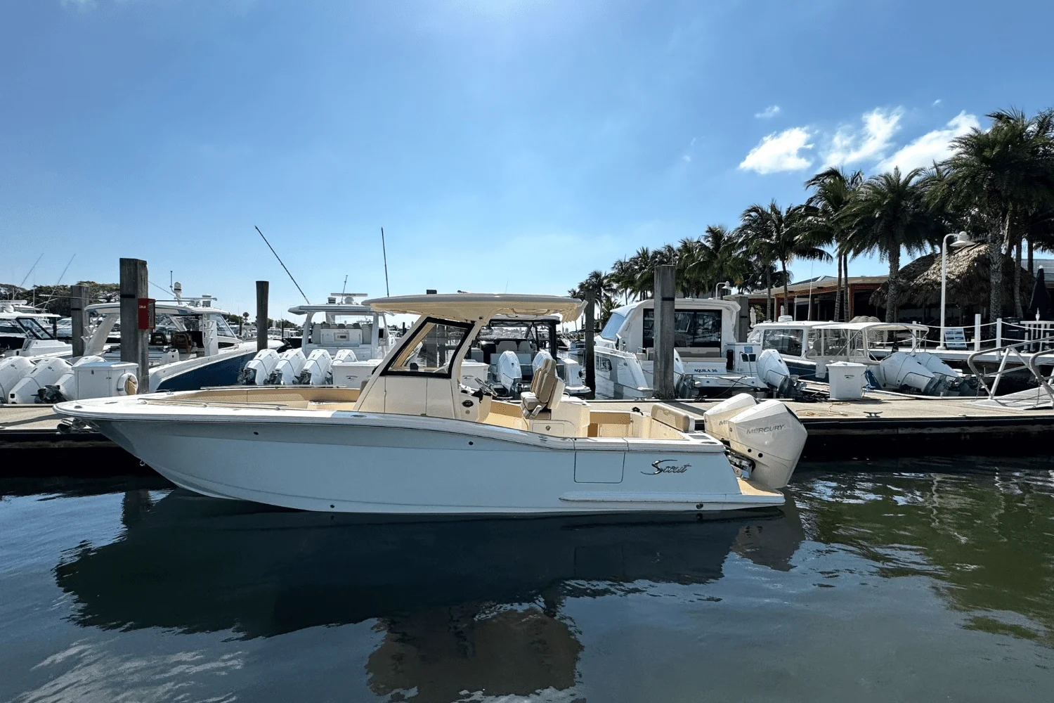 2025 Scout 277 LXF Image Thumbnail #0