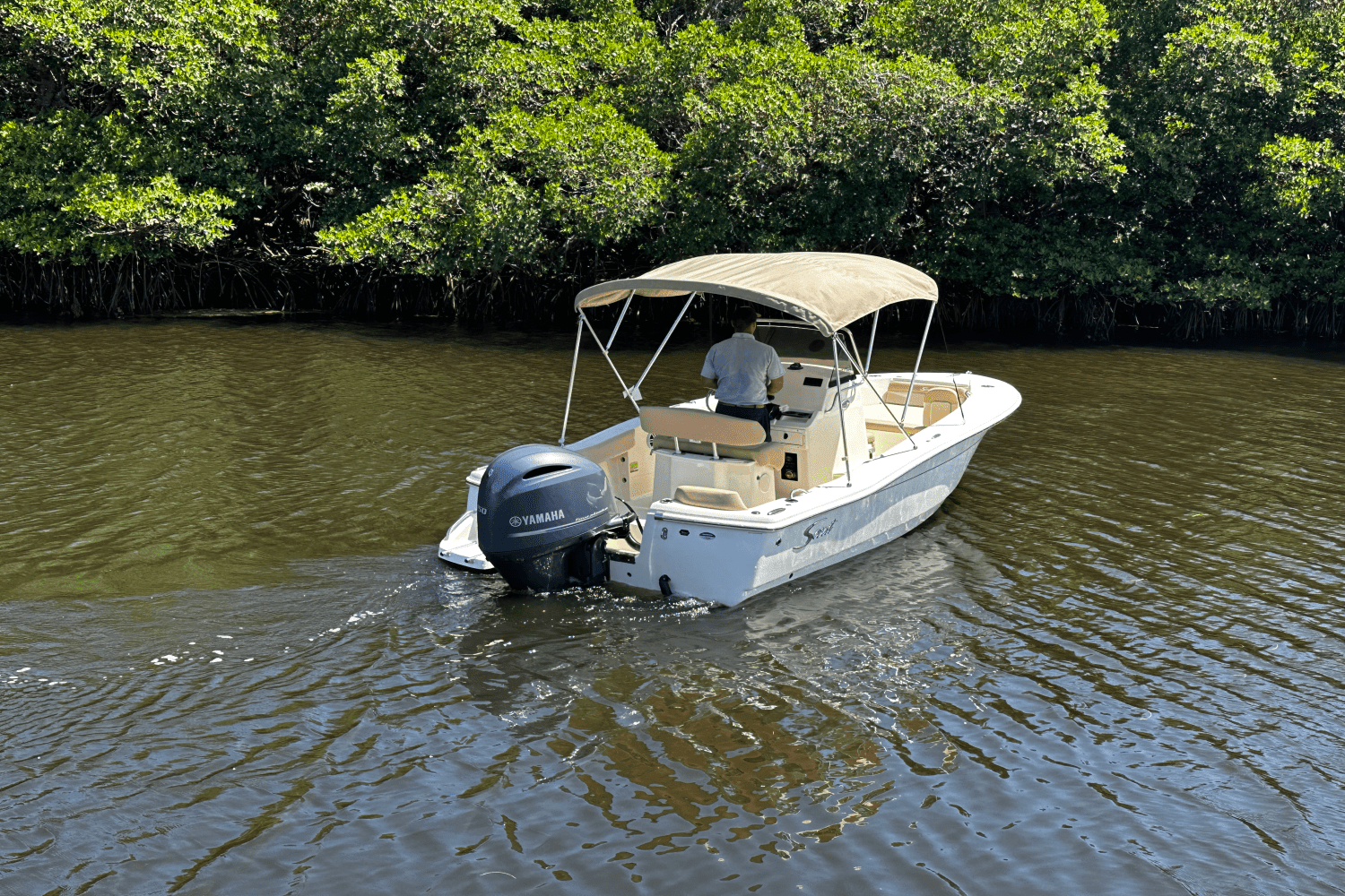 2025 Scout 195 Sportfish Image Thumbnail #7