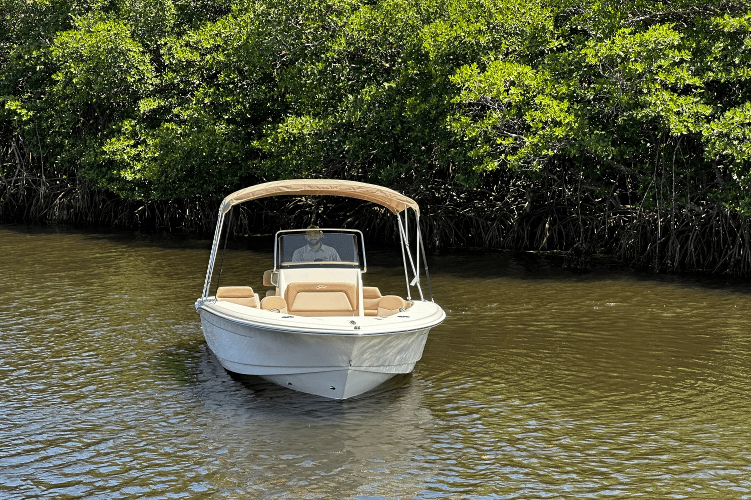 2025 Scout 195 Sportfish Image Thumbnail #2