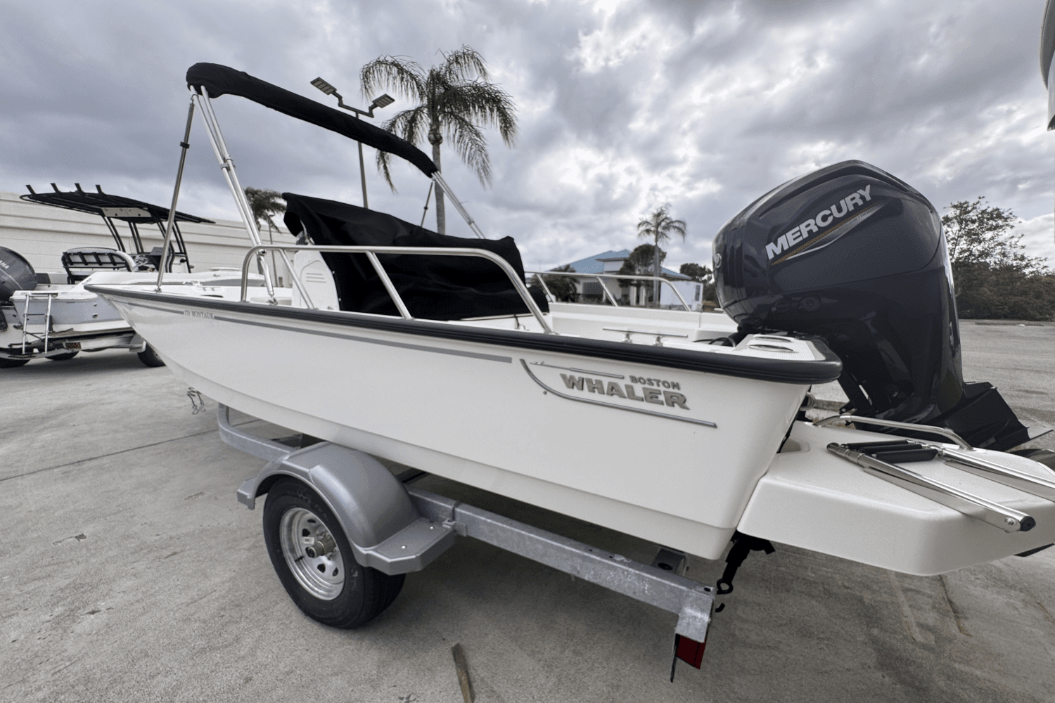 2025 Boston Whaler 170 Montauk Image Thumbnail #1