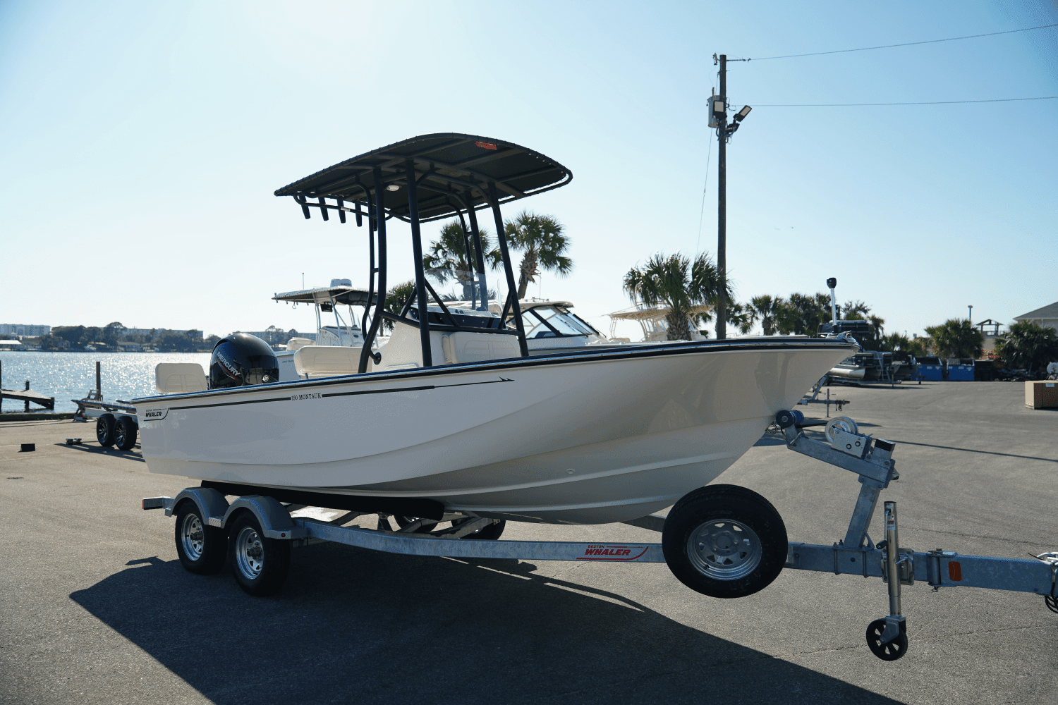 2025 Boston Whaler 190 Montauk Image Thumbnail #1