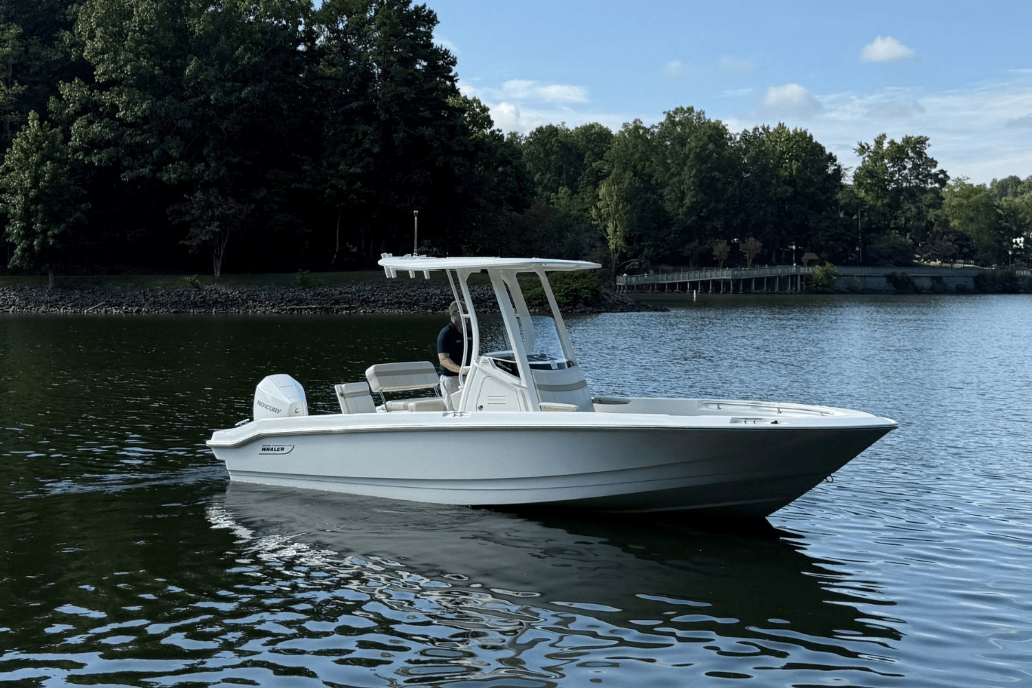 2025 Boston Whaler 220 Dauntless Image Thumbnail #1