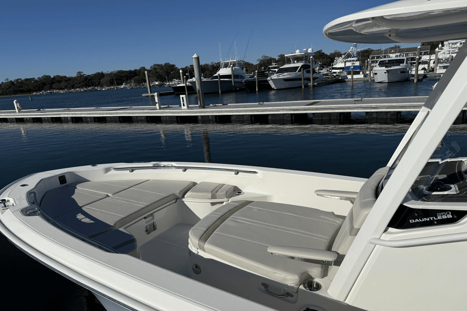 2025 Boston Whaler 250 Dauntless Image Thumbnail #26