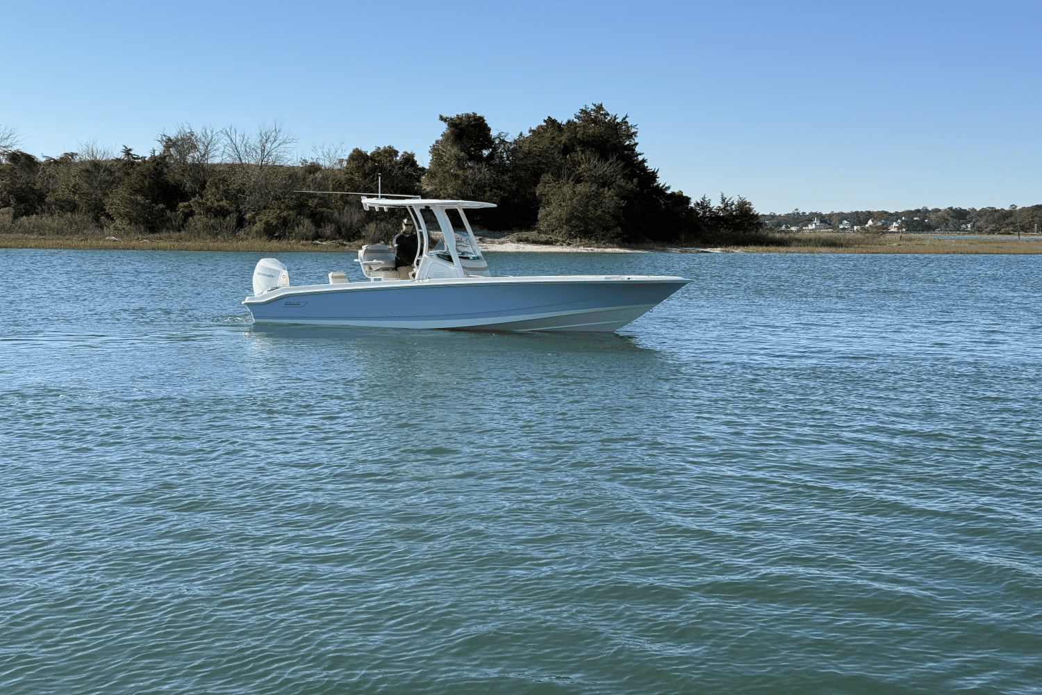 2025 Boston Whaler 250 Dauntless Image Thumbnail #1