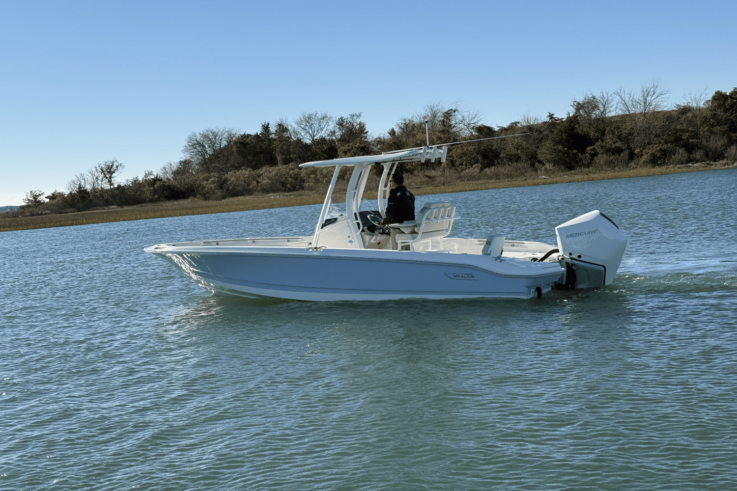 2025 Boston Whaler 250 Dauntless Image Thumbnail #7