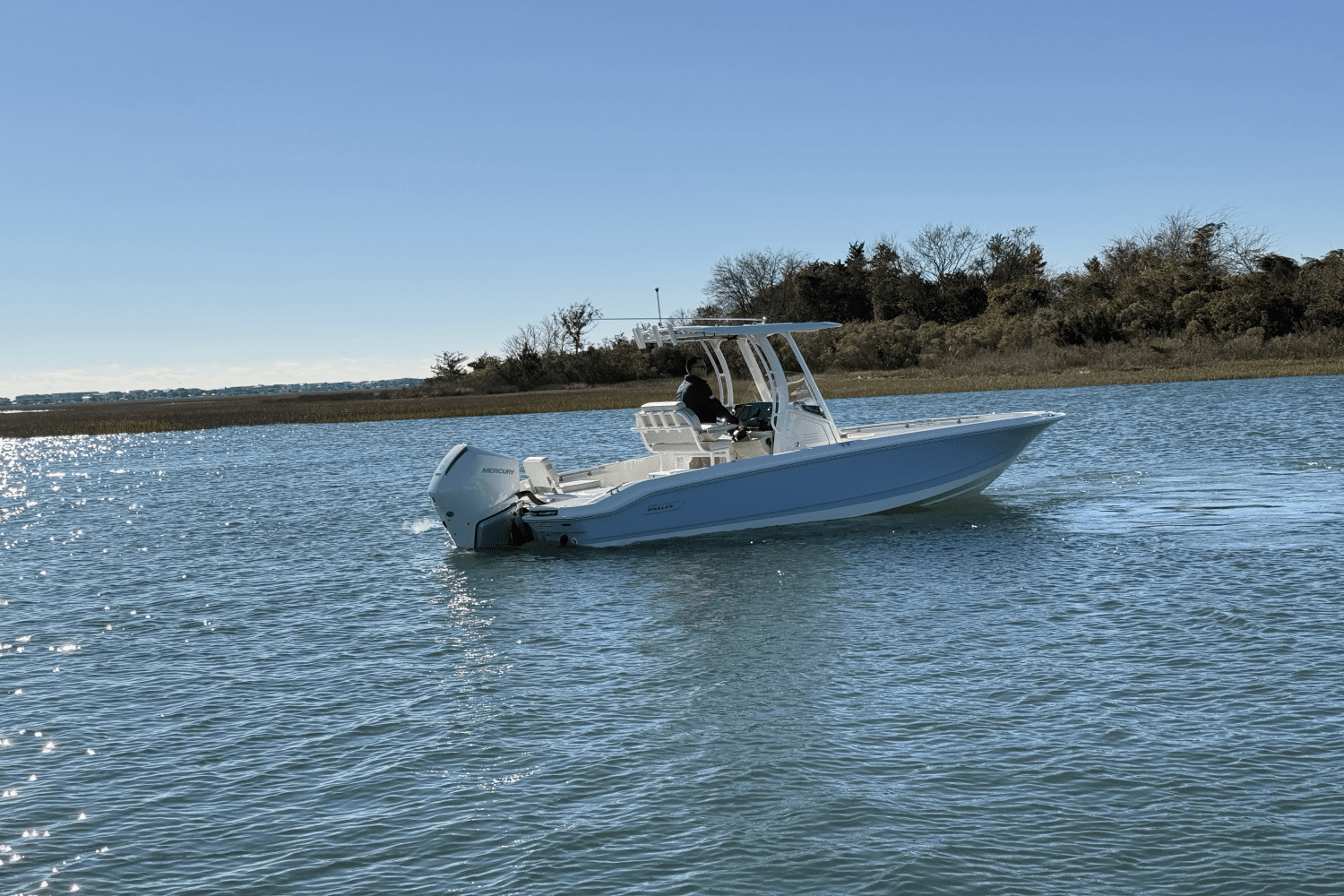 2025 Boston Whaler 250 Dauntless Image Thumbnail #4